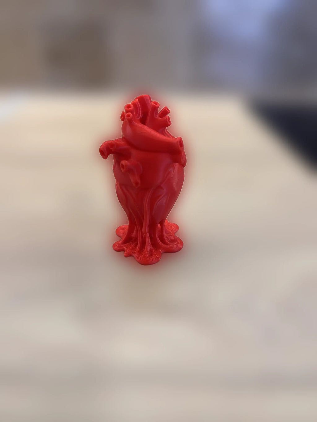 Decorațiune Inimă Anatomică