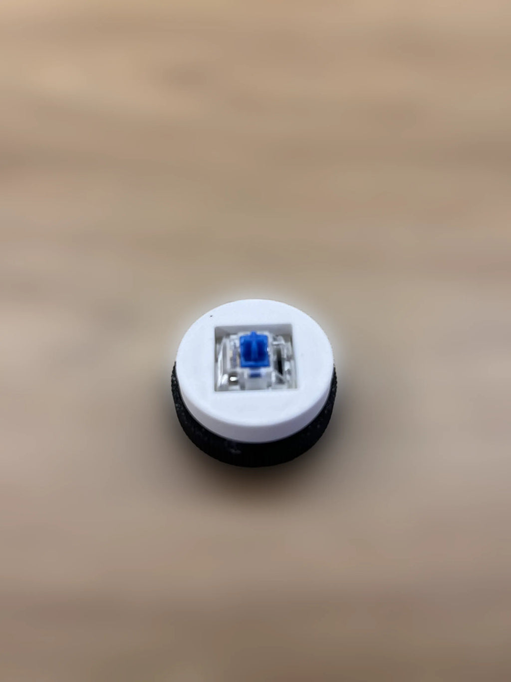 Clicker Biscuit Oreo